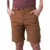 Men's PrAna Stretch Zion Hybrid Shorts