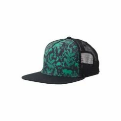 Hats & Caps Men's PrAna Roots Studio Trucker Snapback Hat